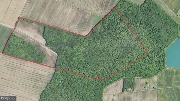 175 Acres of Land for Sale in Whaleyville, Maryland