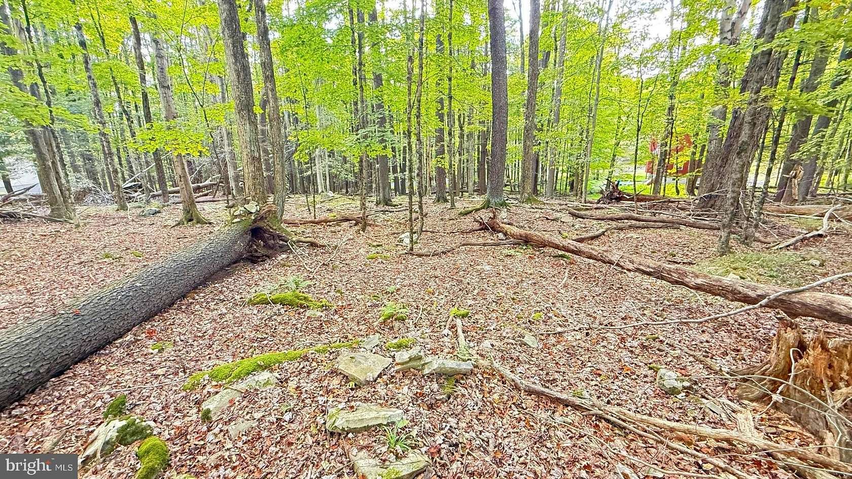 0.34 Acres of Residential Land for Sale in Lake Ariel, Pennsylvania