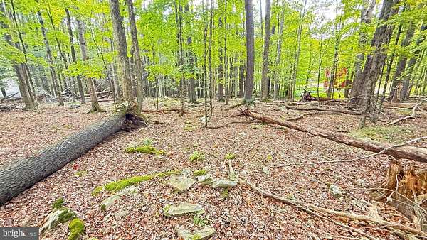 0.34 Acres of Residential Land for Sale in Lake Ariel, Pennsylvania