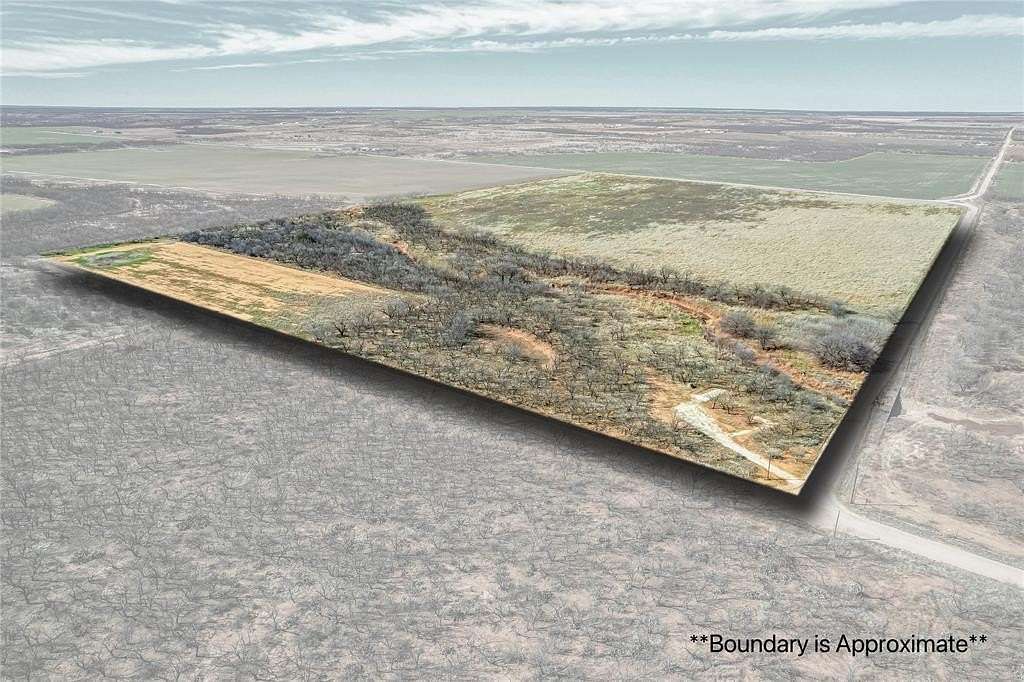 69.5 Acres of Agricultural Land for Sale in Merkel, Texas