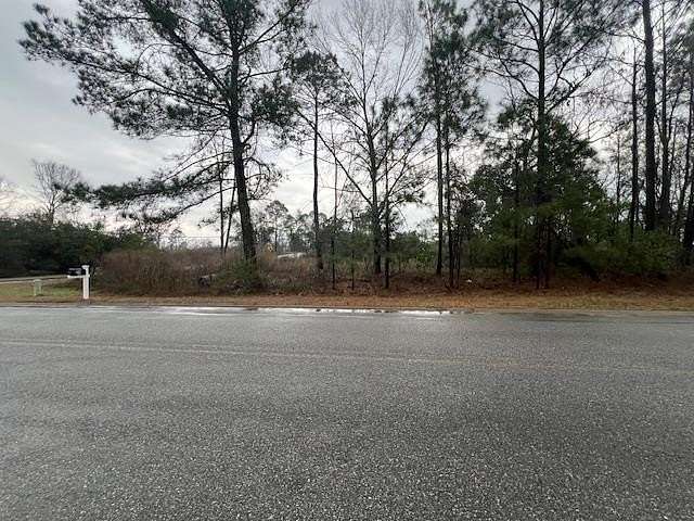 0.92 Acres of Mixed-Use Land for Sale in Lyons, Georgia