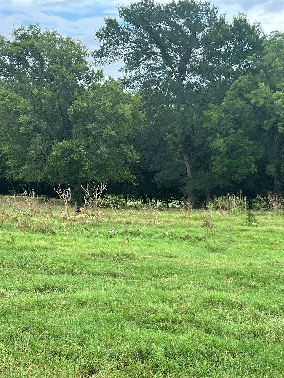 96.5 Acres of Land for Sale in Boyd, Texas