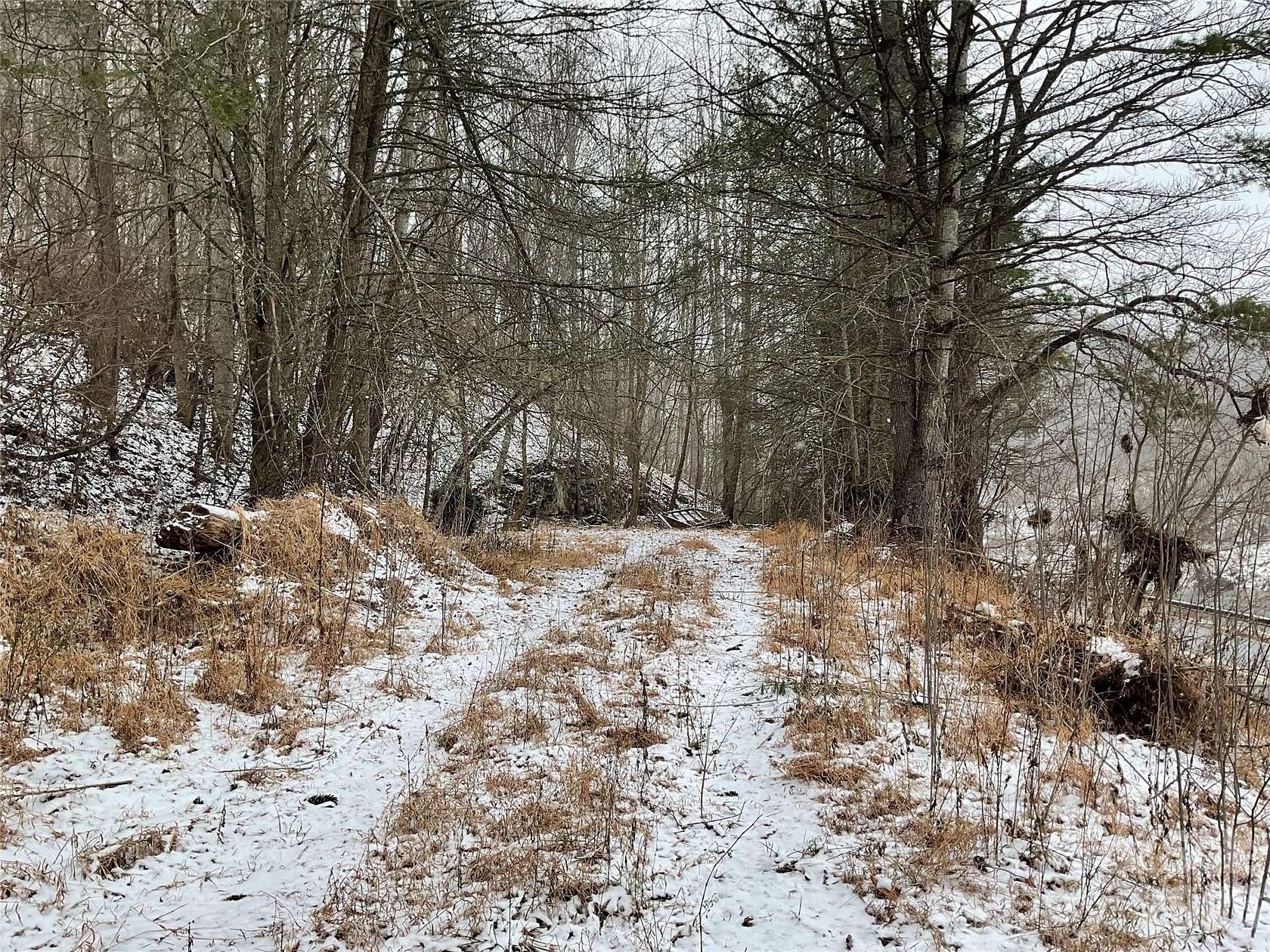 33.3 Acres of Recreational & Residential Land for Sale in Green Mountain, North Carolina