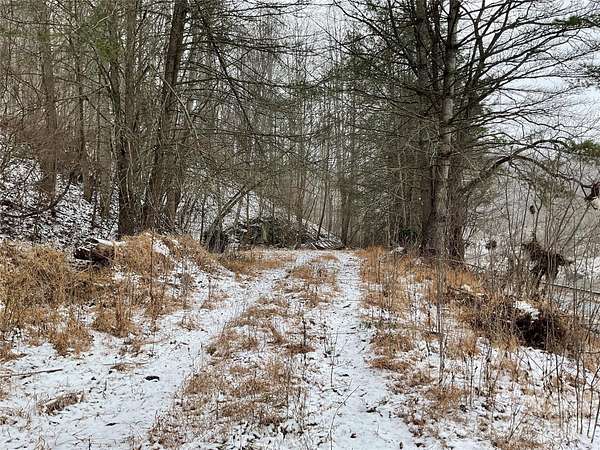 33.3 Acres of Recreational Land for Sale in Green Mountain, North Carolina