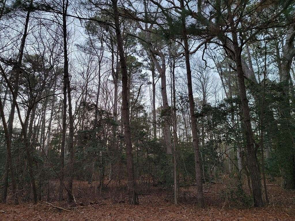 1.58 Acres of Residential Land for Sale in Machipongo, Virginia
