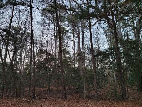 1.58 Acres of Residential Land for Sale in Machipongo, Virginia