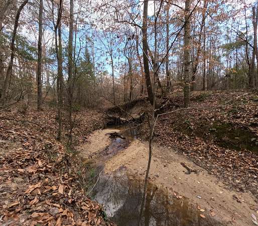 176 Acres of Recreational Land for Sale in Braxton, Mississippi