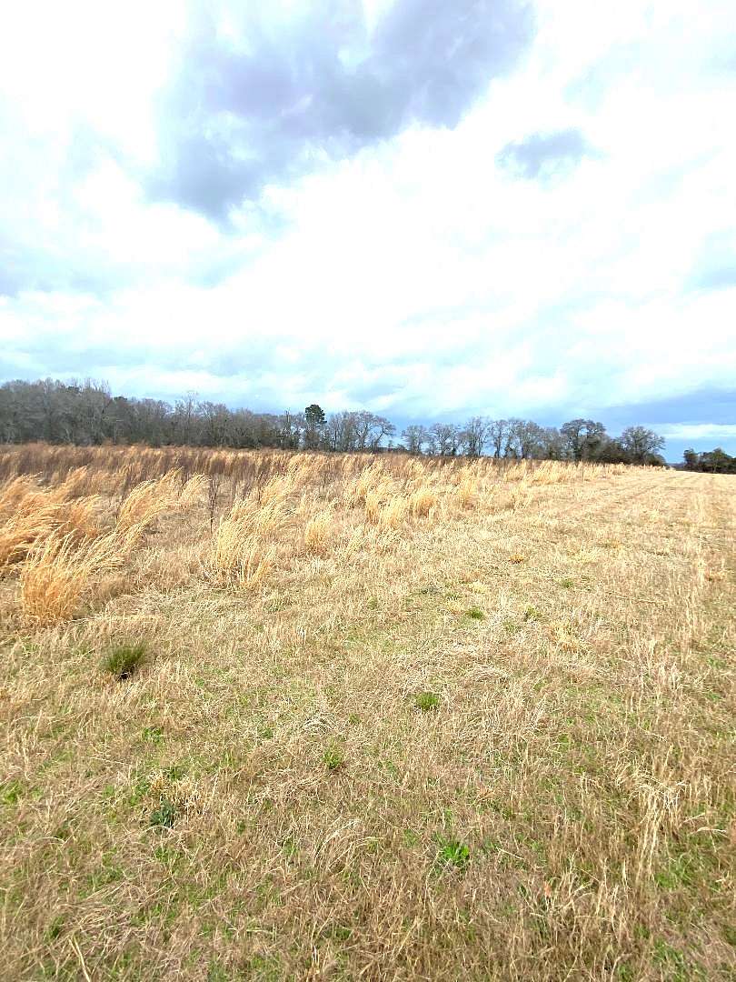 32.5 Acres of Agricultural & Residential Land for Sale in Chester, Georgia