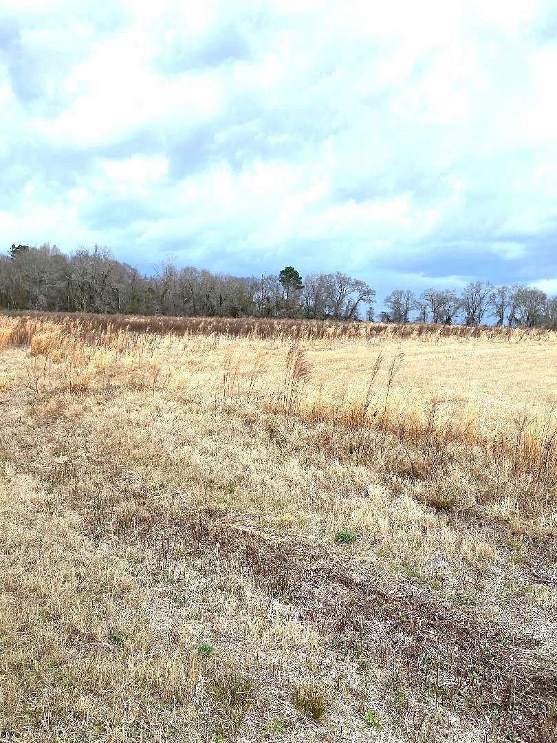 32.5 Acres of Agricultural & Residential Land for Sale in Chester, Georgia