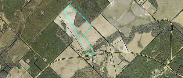 32.5 Acres of Agricultural & Residential Land for Sale in Chester, Georgia