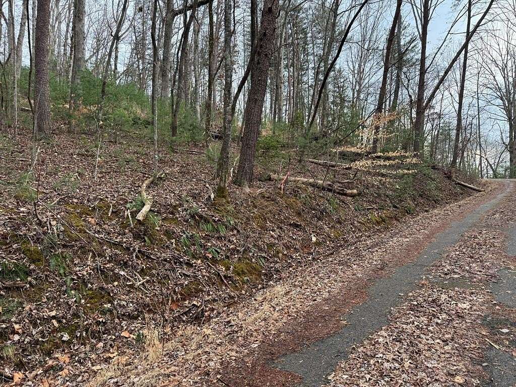 1.5 Acres of Residential Land for Sale in Young Harris, Georgia