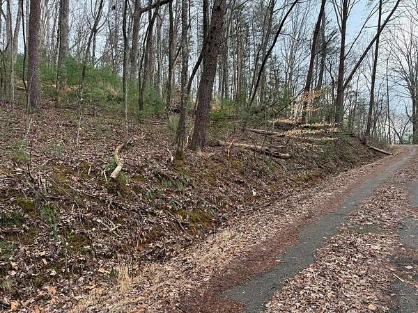 1.5 Acres of Residential Land for Sale in Young Harris, Georgia