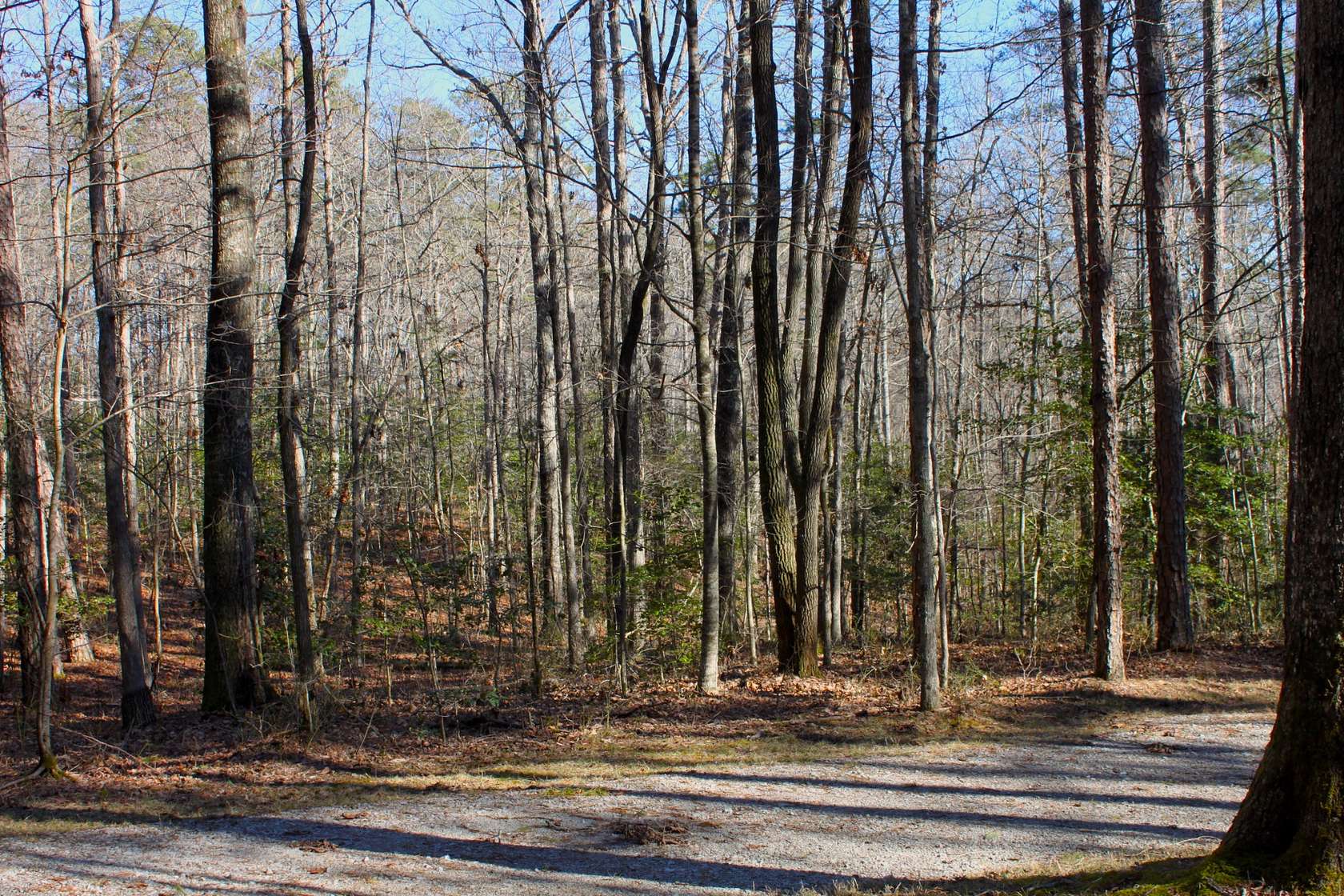 3.1 Acres of Residential Land for Sale in Coalmont, Tennessee