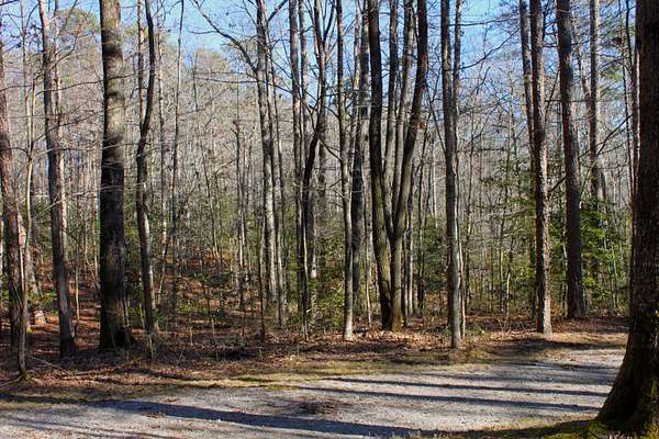 3.1 Acres of Residential Land for Sale in Coalmont, Tennessee