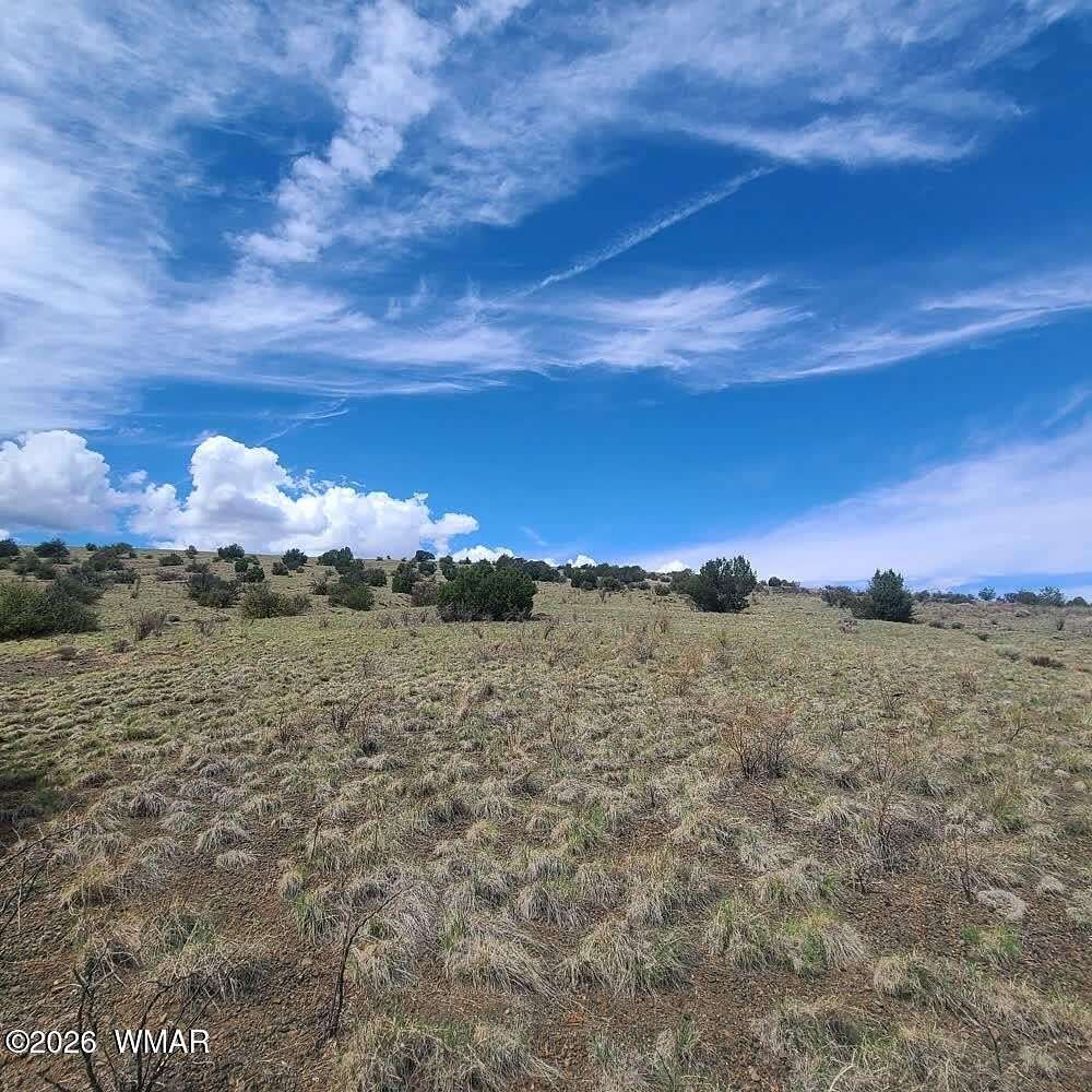 76.2 Acres of Recreational Land with Home for Sale in Vernon, Arizona