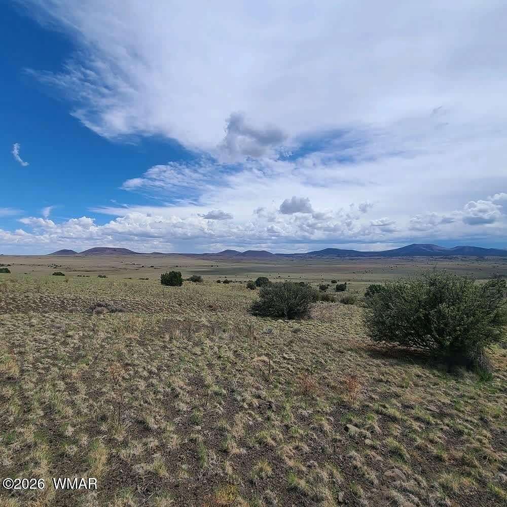 76.2 Acres of Recreational Land with Home for Sale in Vernon, Arizona