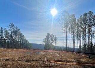 4 Acres of Land with Home for Sale in Haletown, Tennessee