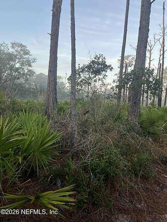 0.24 Acres of Land for Sale in Crescent City, Florida