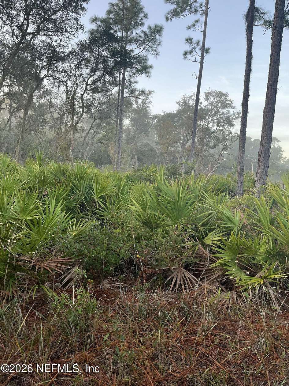 0.25 Acres of Land for Sale in Crescent City, Florida