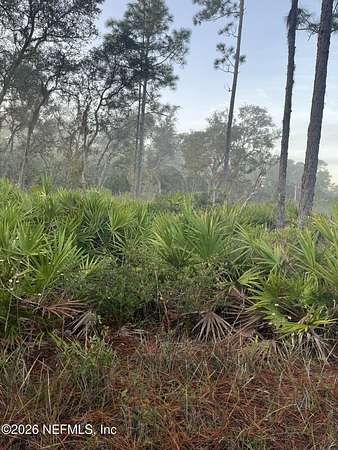 0.25 Acres of Land for Sale in Crescent City, Florida