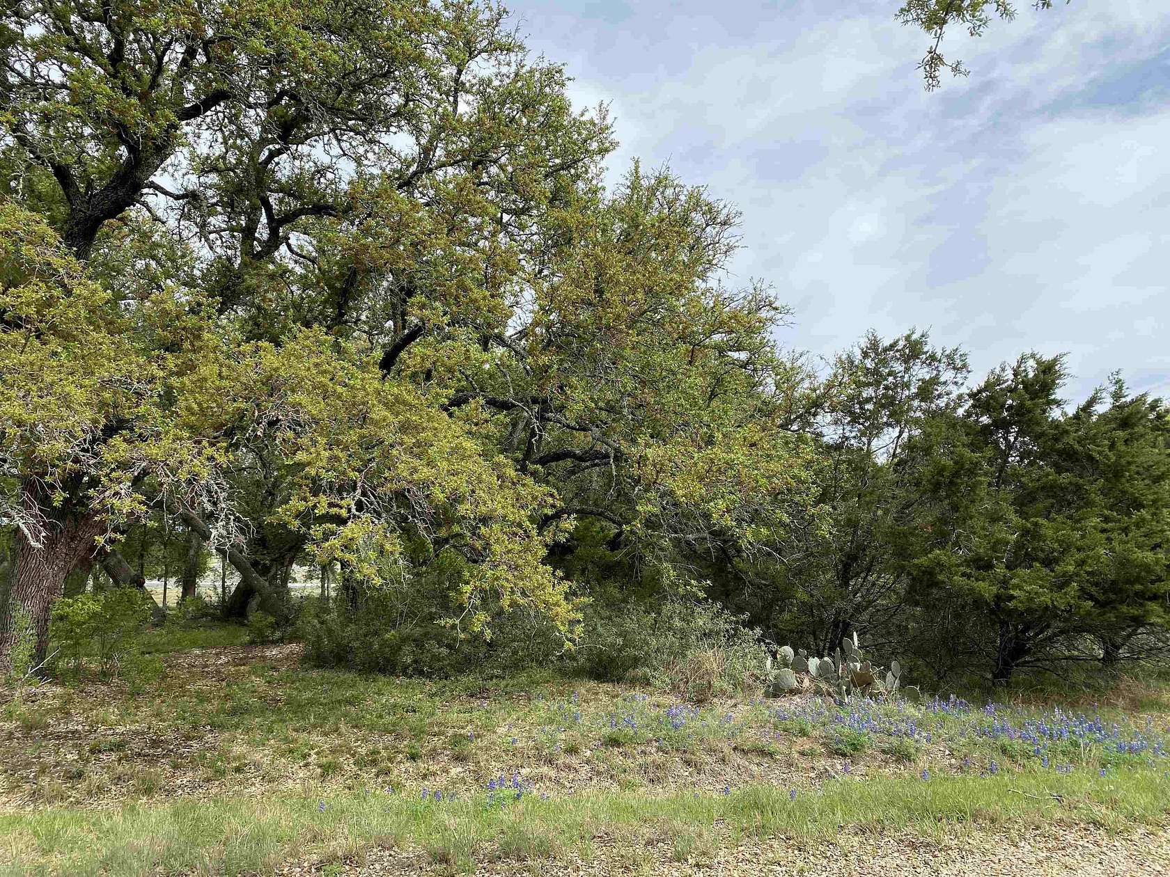 0.23 Acres of Residential Land for Sale in Horseshoe Bay, Texas