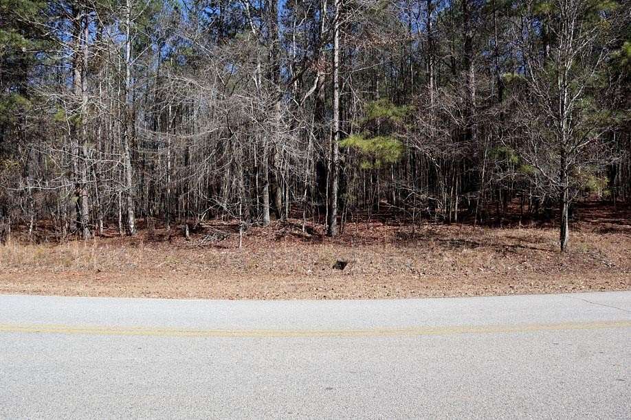 0.7 Acres of Residential Land for Sale in Sparta, Georgia