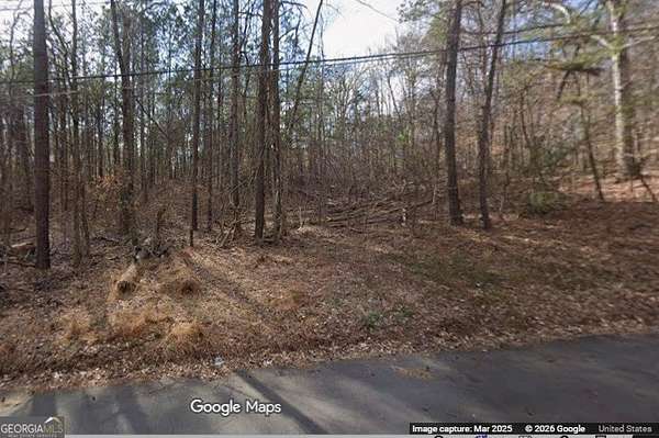 0.41 Acres of Residential Land for Sale in South Fulton, Georgia