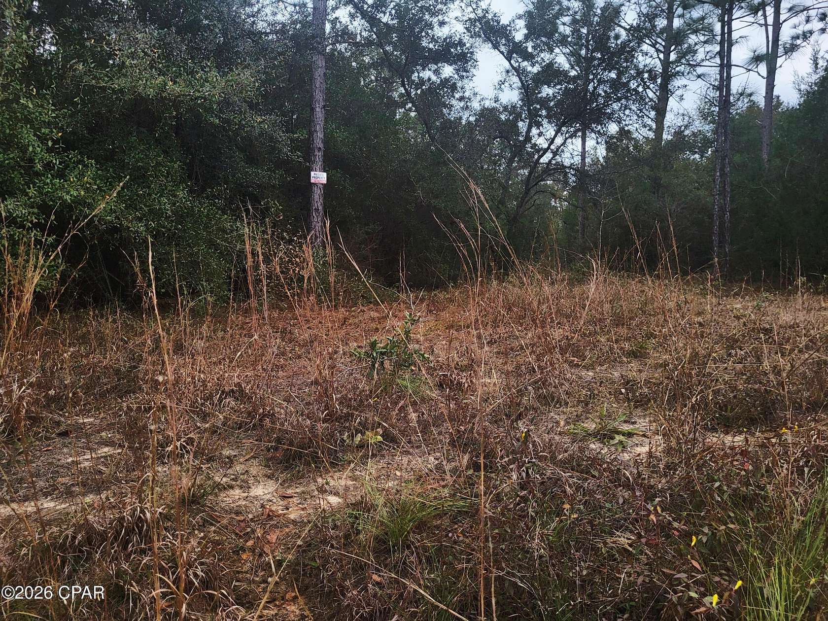 10 Acres of Land for Sale in Marianna, Florida