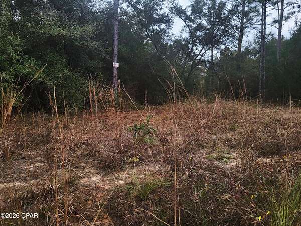 10 Acres of Land for Sale in Marianna, Florida
