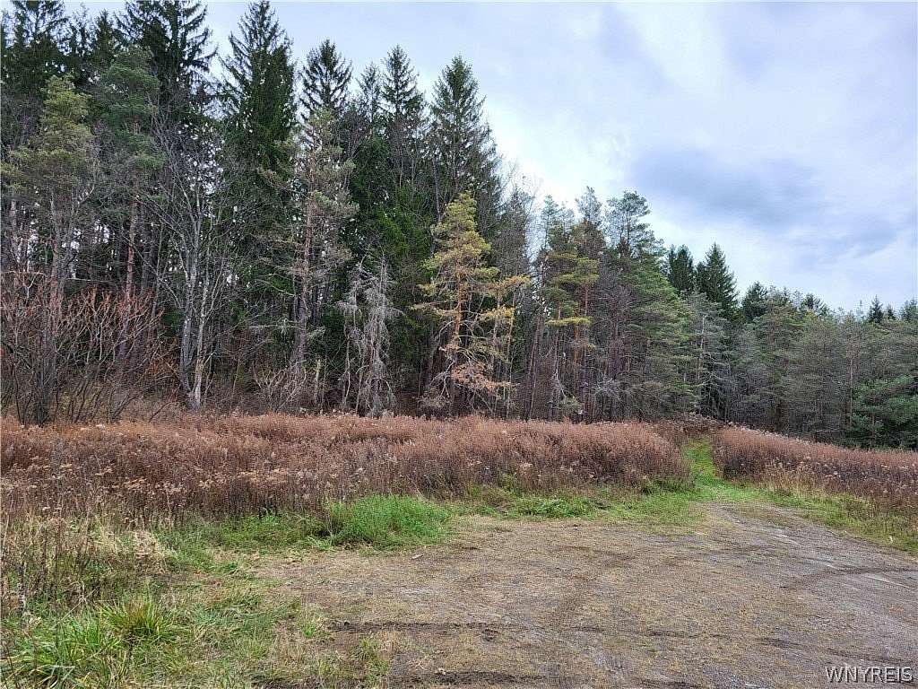 48.3 Acres of Recreational & Residential Land for Sale in Ellicottville, New York