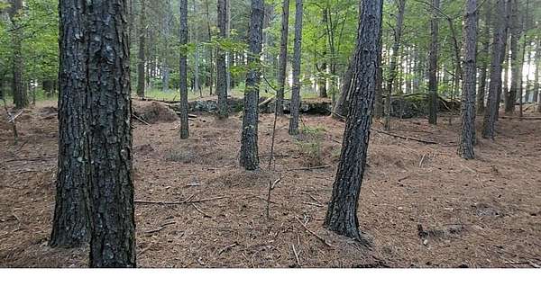 2 Acres of Residential Land for Sale in Jasper, Tennessee