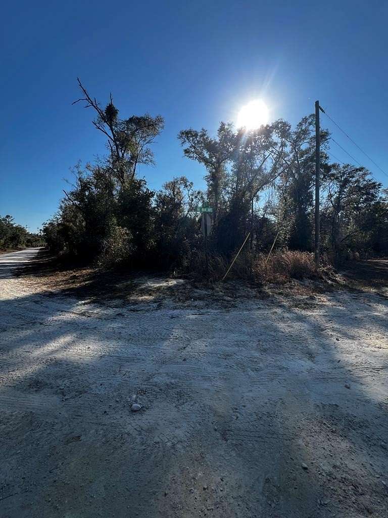 8 Acres of Residential Land for Sale in Old Town, Florida