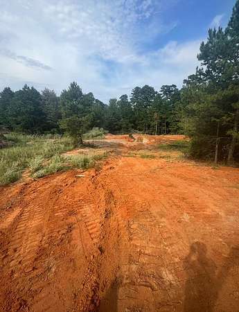 5 Acres of Residential Land for Sale in Big Sandy, Texas