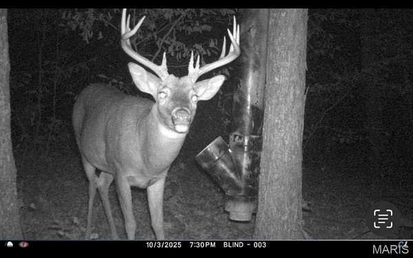 37.5 Acres of Land for Sale in Montgomery City, Missouri