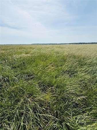110 Acres of Agricultural & Residential Land for Sale in Big Cabin, Oklahoma