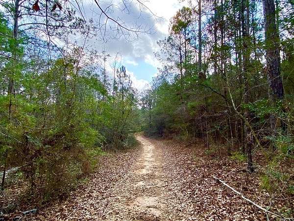 2.3 Acres of Residential Land for Sale in Carriere, Mississippi