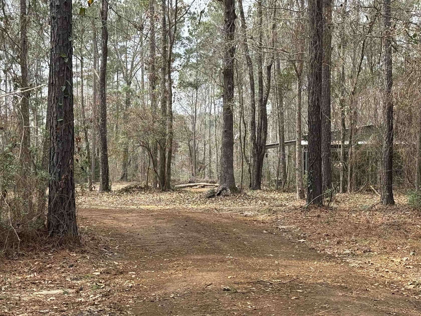 3 Acres of Land with Home for Sale in Broaddus, Texas