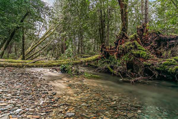 6.65 Acres of Land with Home for Sale in Selma, Oregon