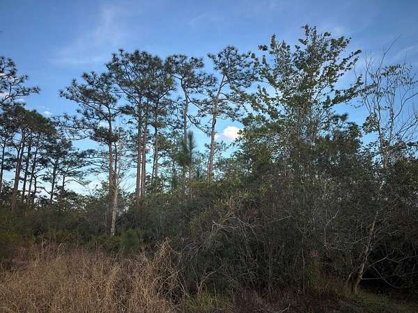 1.16 Acres of Land for Sale in St. Cloud, Florida