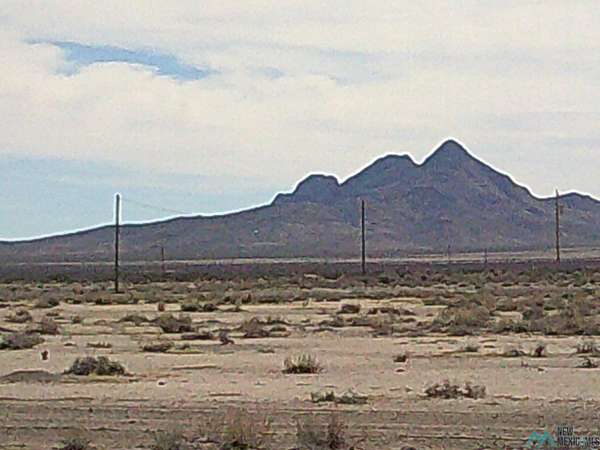 20 Acres of Land for Sale in Deming, New Mexico