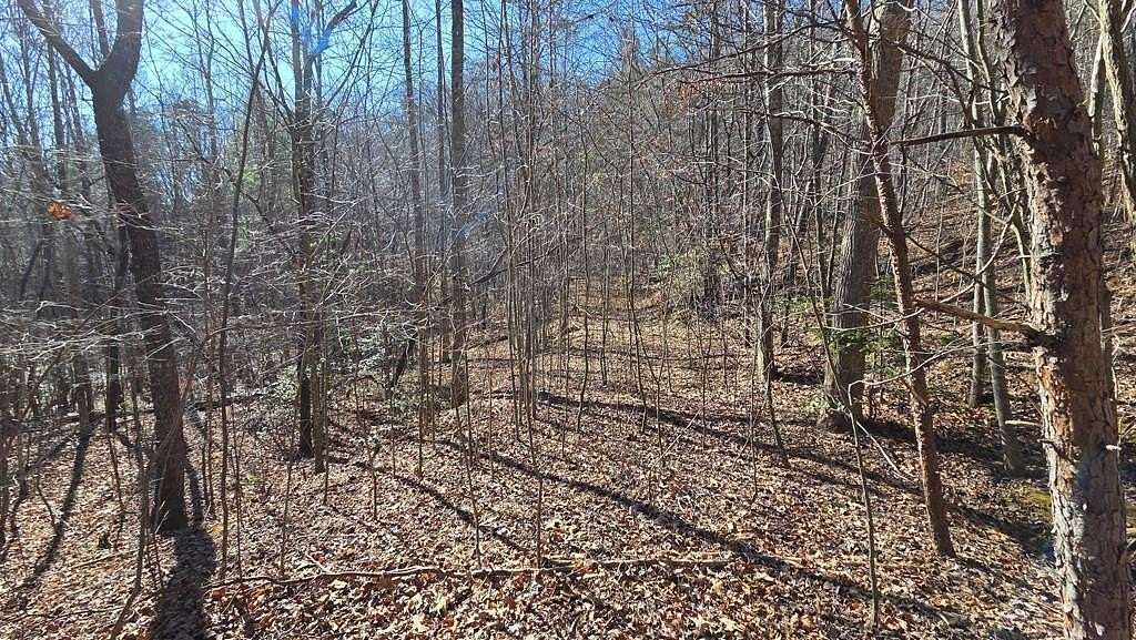 1.2 Acres of Land for Sale in Young Harris, Georgia