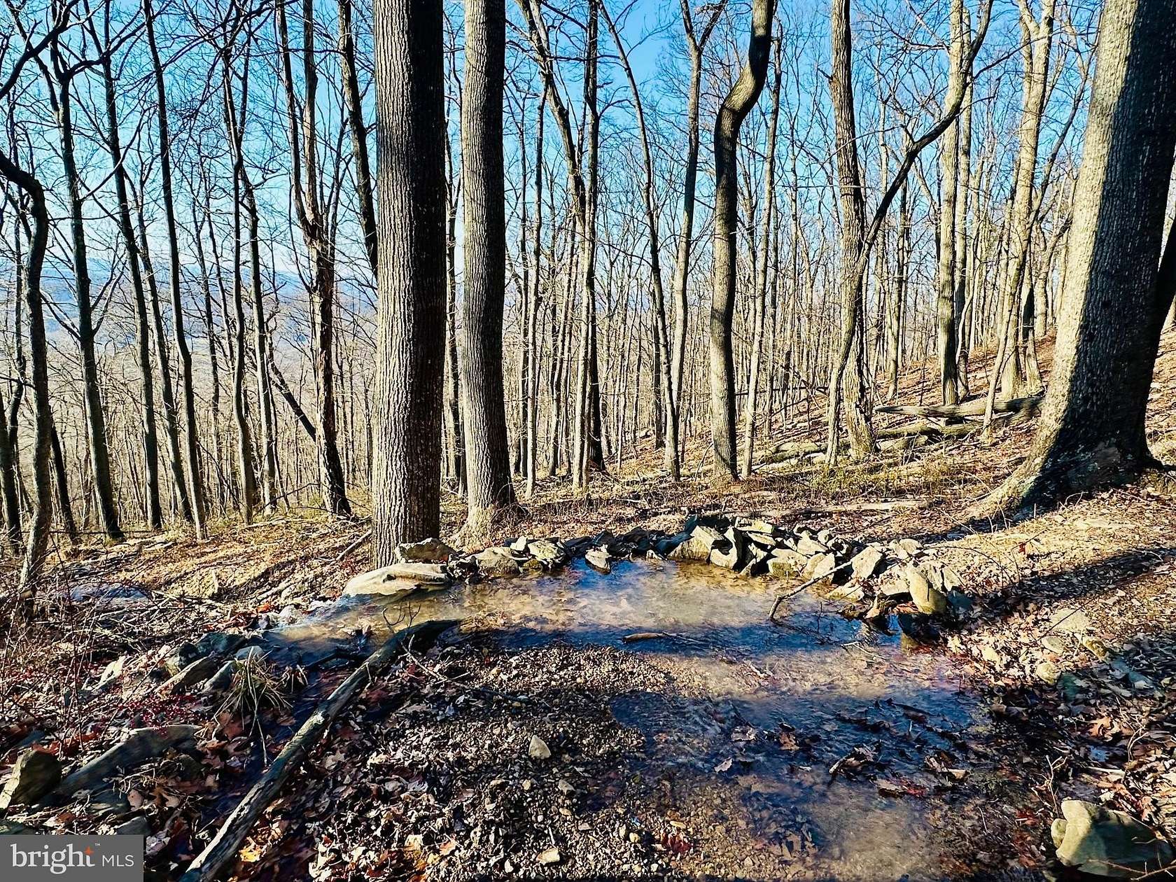 6 Acres of Residential Land for Sale in Slanesville, West Virginia