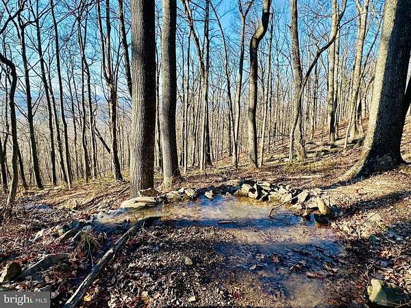 6 Acres of Residential Land for Sale in Slanesville, West Virginia