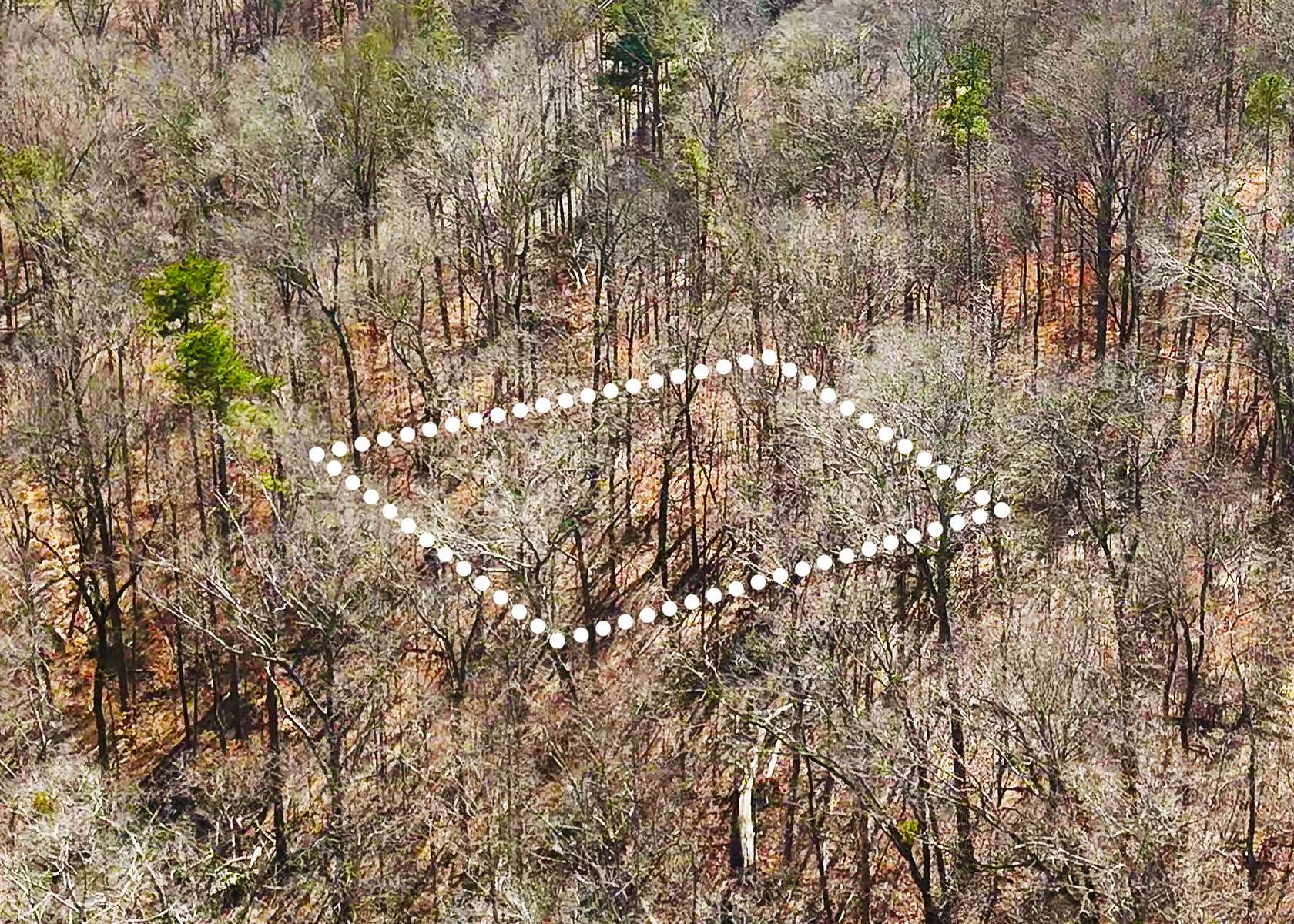 0.76 Acres of Residential Land for Sale in Lavonia, Georgia