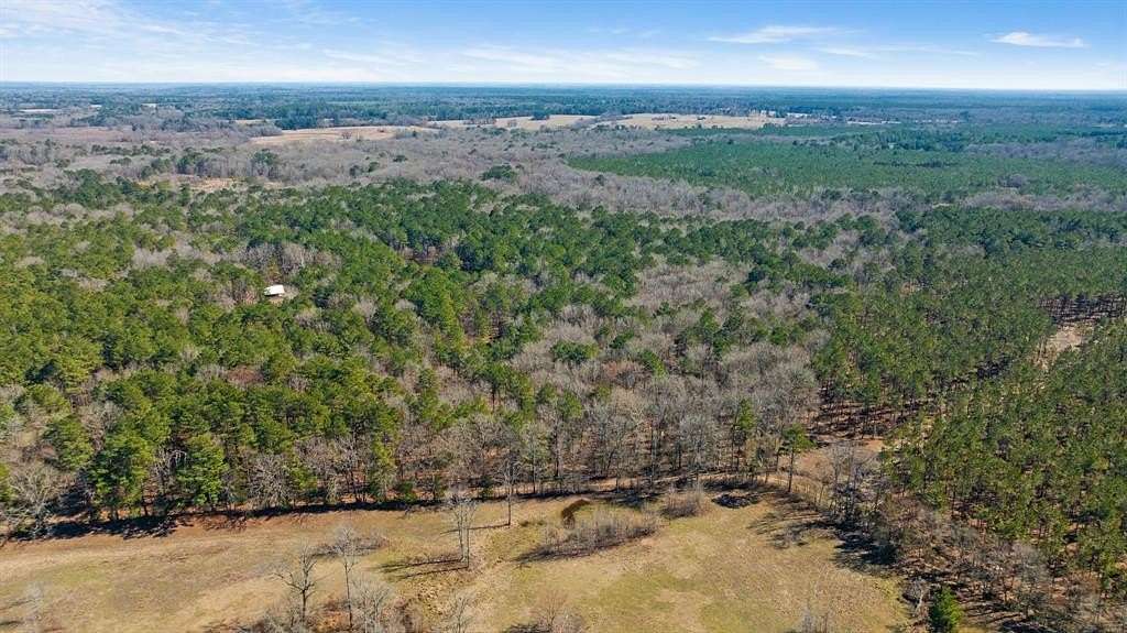 60 Acres of Land for Sale in Bagwell, Texas
