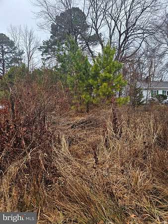 0.25 Acres of Land for Sale in Colonial Beach, Virginia