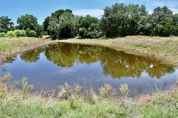 73.3 Acres of Recreational Land for Sale in Mullin, Texas