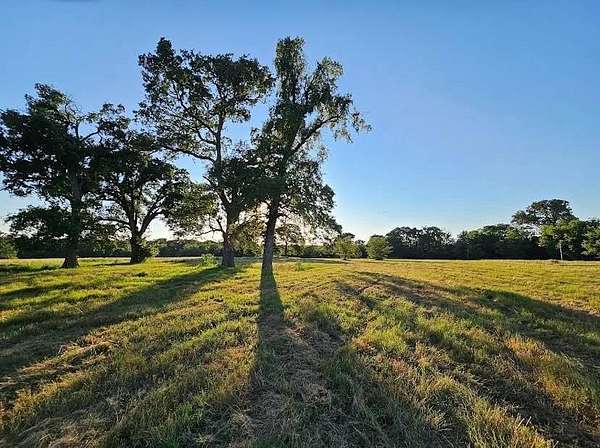 5 Acres of Residential Land for Sale in Dike, Texas