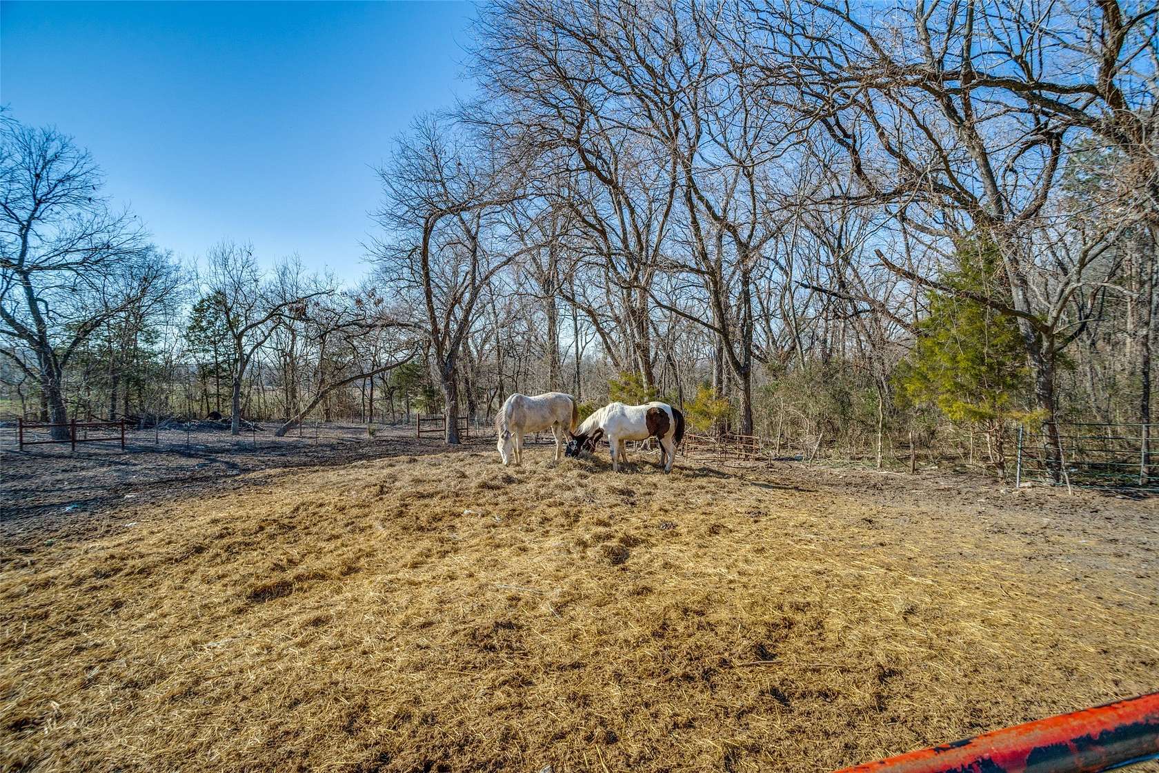 7.44 Acres of Residential Land for Sale in McKinney, Texas