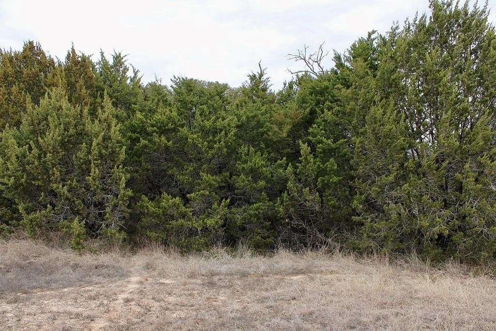 0.07 Acres of Land for Sale in Granbury, Texas